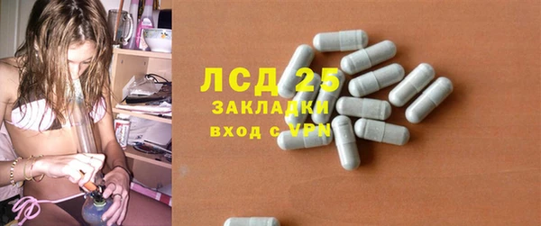 сатива Абинск
