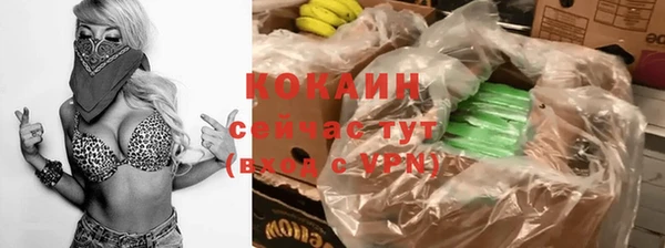 сатива Абинск